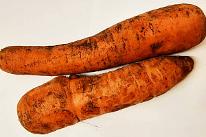 Морковь столовая свежая Балтимор Республика Беларусь вес